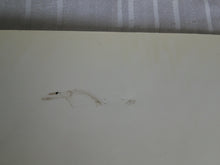 Load image into Gallery viewer, Vintage Nude Erotic Sexy Adult Comic Book Les Fils De La Violence Jo Cordes 132