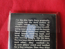 Load image into Gallery viewer, Vintage Adult Paperback Novel/Book Gay Interest Spade Classics The Chicken Cruiser PB5