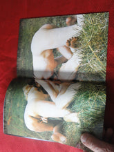 Load image into Gallery viewer, Vintage Nude Erotic Sexy Adult Magazine Selecta 1974 Swedish JB15