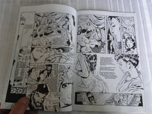 Load image into Gallery viewer, Vintage Nude Erotic Sexy Adult Comic Harem Nights Eros Comix Book One 146