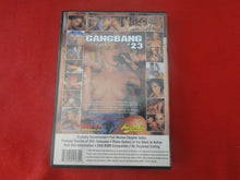 Load image into Gallery viewer, Vintage Adult Erotic Sexy Porn XXX DVD Gangbang Girl #23 BT1