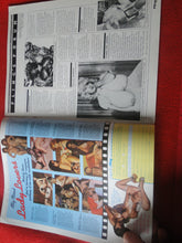 Load image into Gallery viewer, Vintage Nude Erotic Sexy Adult Magazine Fling July 1984 JB25
