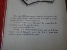 Load image into Gallery viewer, Vintage Erotic Adult Paperback Novel/Book The Family Secret G3
