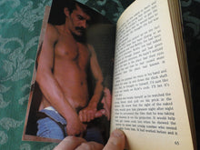 Load image into Gallery viewer, Vintage Adult Erotic Paperback Novel/Book Gay Interest Virgin Boy P84