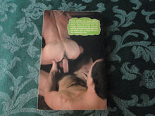Load image into Gallery viewer, Vintage Adult Erotic Paperback Novel/Book Gay Interest Stud Meat For Hire P84