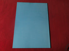 Load image into Gallery viewer, Vintage Nude Erotic Sexy Adult Magazine BDSM New Supplement Blushes #27 1H