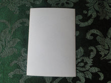 Load image into Gallery viewer, Vintage Nude Woman Intercourse Photo 3 x 5 BBa