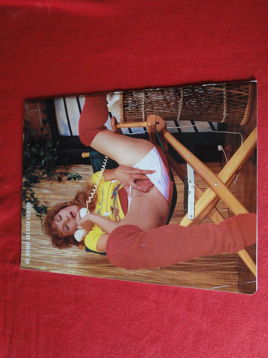 sexy nude eva ionesco Vintage Nude Erotic Sexy Adult Magazine Private Moments Parliament 199 – Ephemera Galore