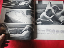 Load image into Gallery viewer, Vintage Nude Erotic Sexy Adult Magazine Gem September 1969 JB2