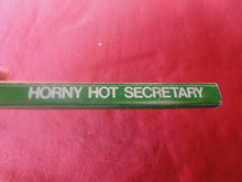 Load image into Gallery viewer, Vintage Adult Paperback Novel/Book Greenleaf Horny Hot Secretary 1982 G3