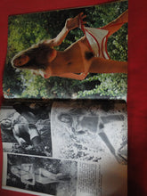 Load image into Gallery viewer, Vintage Nude Erotic Sexy Adult Men's Magazine Escapade April 1975 HC5