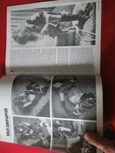 Load image into Gallery viewer, Vintage Nude Erotic Sexy Adult Magazine BDSM Now, Darling HOM 1985 JB65