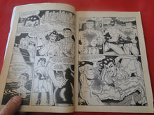 Load image into Gallery viewer, Vintage Nude Erotic Sexy Adult Men's Comic Book Last Gasp Horny Biker Slut #12 PB3