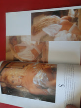 Load image into Gallery viewer, Vintage Nude Erotic Sexy Adult Magazine High Society's Erotic Fantasies in Lingerie 1992 P83