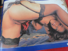 Load image into Gallery viewer, Vintage Nude Erotic Sexy Adult Big Tit Magazine Gent February 2001 K