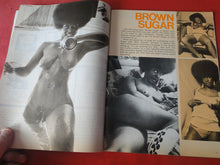 Load image into Gallery viewer, Vintage Nude Erotic Sexy Adult Magazine Rogue 1972 JB28