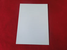 Load image into Gallery viewer, Vintage Gay Interest Nude Hot Hung Male Photo 5 x 7    H41v