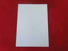 Load image into Gallery viewer, Vintage Gay Interest Nude Hot Hung Male Photo 5 x 7    H41z