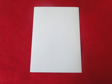 Load image into Gallery viewer, Vintage Gay Interest Nude Hot Hung Male Photo 5 x 7    H41ad