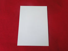 Load image into Gallery viewer, Vintage Gay Interest Nude Hot Hung Male Photo 5 x 7    H41ak