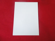 Load image into Gallery viewer, Vintage Gay Interest Nude Hot Hung Male Photo 5 x 7    H41ao