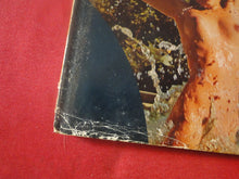 Load image into Gallery viewer, Vintage Erotic Nude Photography Book The Shameless Nude Ed Lange P87