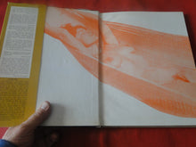 Load image into Gallery viewer, Vintage Erotic Nude Photography Book The Shameless Nude Ed Lange P87