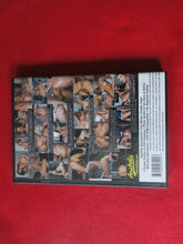Load image into Gallery viewer, Vintage Adult Erotic Sexy Porn XXX DVD Movie Ass Juice Junkies X19