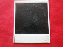 Load image into Gallery viewer, Vintage 1980s Nude Erotic Sexy Polaroid Nude Woman Photo Hispanic Honey Hairy Bush BB