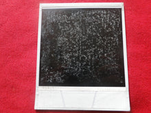 Load image into Gallery viewer, Vintage 1980s Nude Erotic Sexy Polaroid Nude Woman Photo Hispanic Honey Hairy Bush BBg