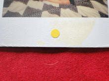 Load image into Gallery viewer, Vintage 1980s Nude Erotic Sexy Polaroid Nude Woman Photo Hispanic Honey Hairy Bush BBq