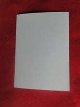 Load image into Gallery viewer, Vintage Gay Interest Nude Hot Hung Male Photo 5 x 7 Stud HUGE COCK H40