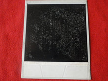 Load image into Gallery viewer, Vintage Nude Erotic Sexy Polaroid Nude Woman Photo Hairy Bush BBc