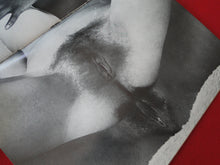 Load image into Gallery viewer, Vintage Nude Erotic Sexy Adult Magazine Clit 9