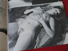 Load image into Gallery viewer, Vintage Nude Erotic Sexy Adult Magazine Closeup #1 9