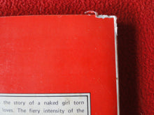 Load image into Gallery viewer, Vintage Adult Paperback Novel/Book Moira In Jeopardy 1980 X33
