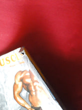 Load image into Gallery viewer, Vintage Adult Erotic Sexy Magazine Gay Interest Torso November 1985 64