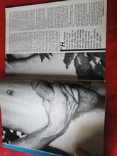 Load image into Gallery viewer, Vintage Adult Erotic Sexy Magazine Gay Interest Torso November 1985 64
