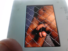 Load image into Gallery viewer, VINTAGE 35MM GAY MALE SLIDE BEEFCAKE MUSCLE NUDE FALCON STUDIOS Z23r