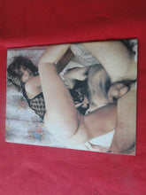 Load image into Gallery viewer, Vintage Nude Erotic Sexy Adult Magazine Slick Chicks P84