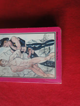 Load image into Gallery viewer, Vintage Adult Paperback Novel/Book Gay Interest Leather Lawman PB1