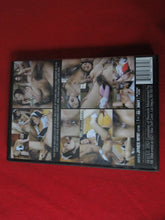 Load image into Gallery viewer, Vintage Adult Erotic Sexy Porn XXX DVD Movie Teen Japanese Gangbang GD3