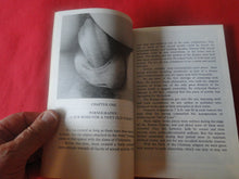 Load image into Gallery viewer, Vintage Erotic Adult Paperback Novel/Book A Study of the New Pornography P14