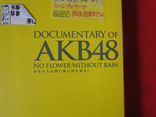 Load image into Gallery viewer, Vintage Adult Erotic Sexy Japanese Gravure DVD AKB48 Documentary No Flower Without Rain CDc