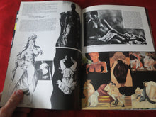 Load image into Gallery viewer, Vintage Nude Erotic Sexy Adult Magazine Panna Montata Fumetti P80