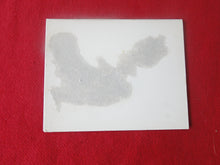 Load image into Gallery viewer, Vintage Nude Erotic Sexy Woman Polaroid Photo Mounted on Firm Board Chubby Old Slut  AA