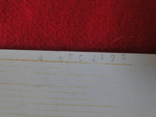 Load image into Gallery viewer, Vintage Nude Erotic Sexy Woman Polaroid Photo Chubby Slut Intercourse   AA