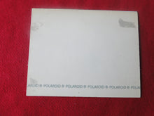 Load image into Gallery viewer, Vintage Nude Erotic Sexy Woman Polaroid Photo Eating Pussy Hairy Chubby Slut    AA1