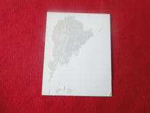 Load image into Gallery viewer, Vintage Nude Erotic Sexy Woman Polaroid Photo Chubby Slut Hairy Pussy     AA