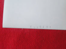 Load image into Gallery viewer, Vintage Nude Erotic Sexy Woman Polaroid Photo Intercourse Hairy Pussy   AA